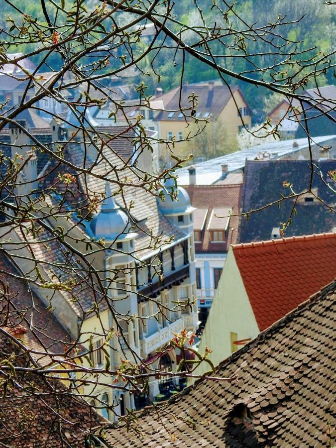 Ferienwohnung Casa Hermann Sighişoara Exterior foto